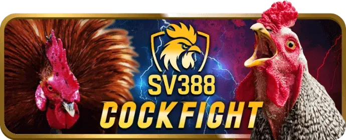 Chương trình VIP độc quyền kclub đăng nhập